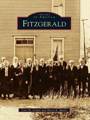 cover image of Fitzgerald